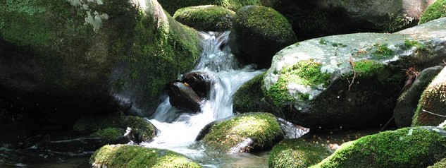 XV. Setkání občanů u studánky